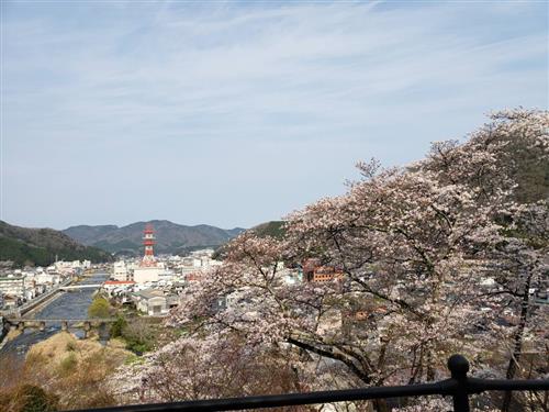 Joyama overlooking Niimi 